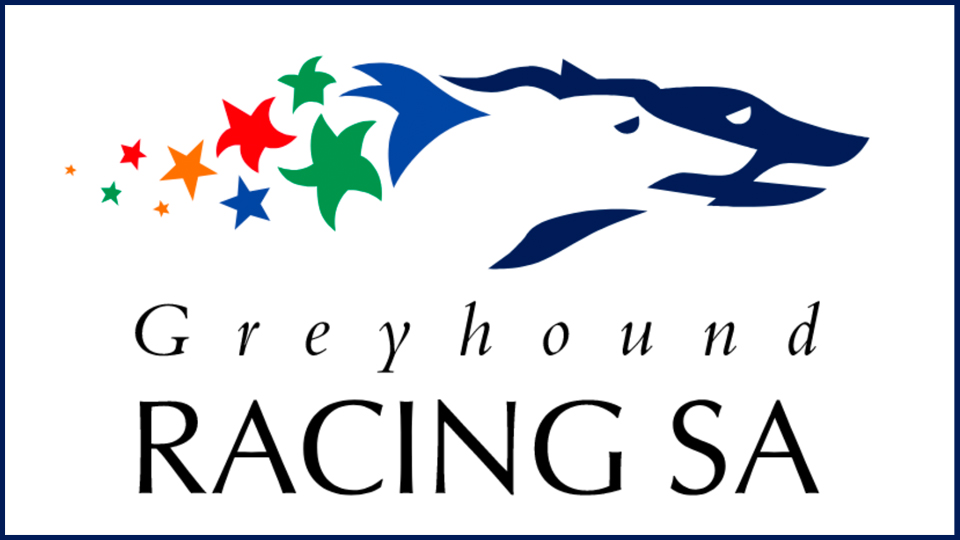 greyhound racing SA 960x540